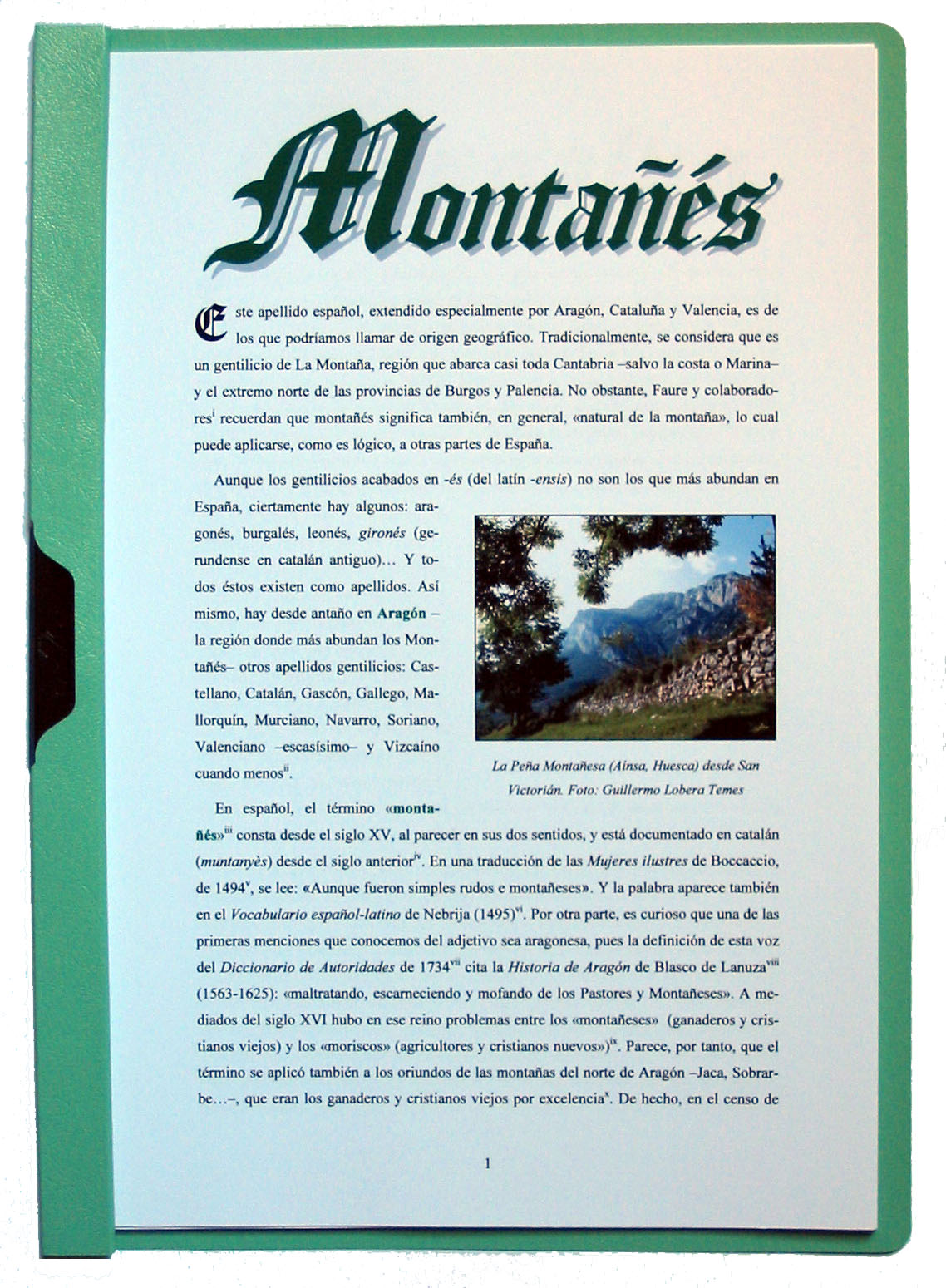 Fotografía de la portada del apellido Montañés. Pulsa encima para ampliar la imagen (334 kb).